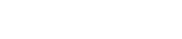 Navitasoft logo