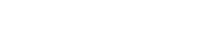 Plassido logo